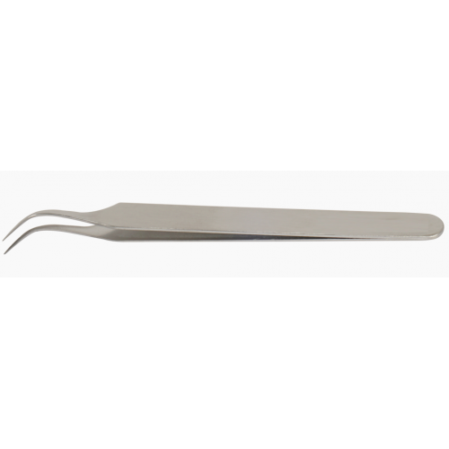 CURVED FORCEPS (2)