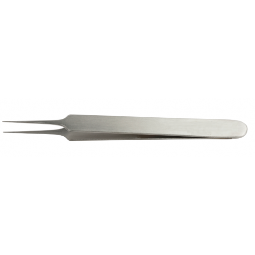 STRAIGHT FORCEPS